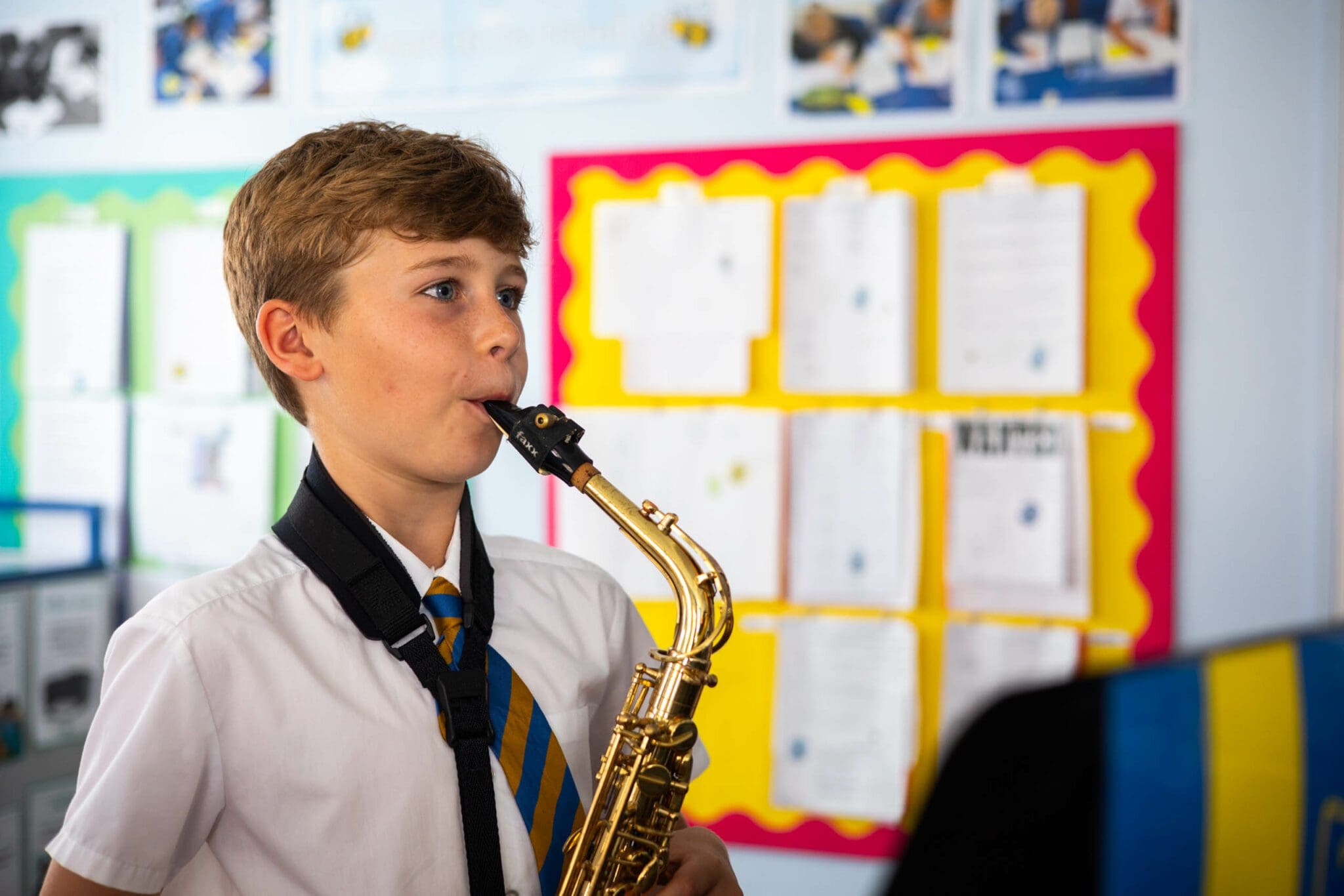 Music Plumtree School